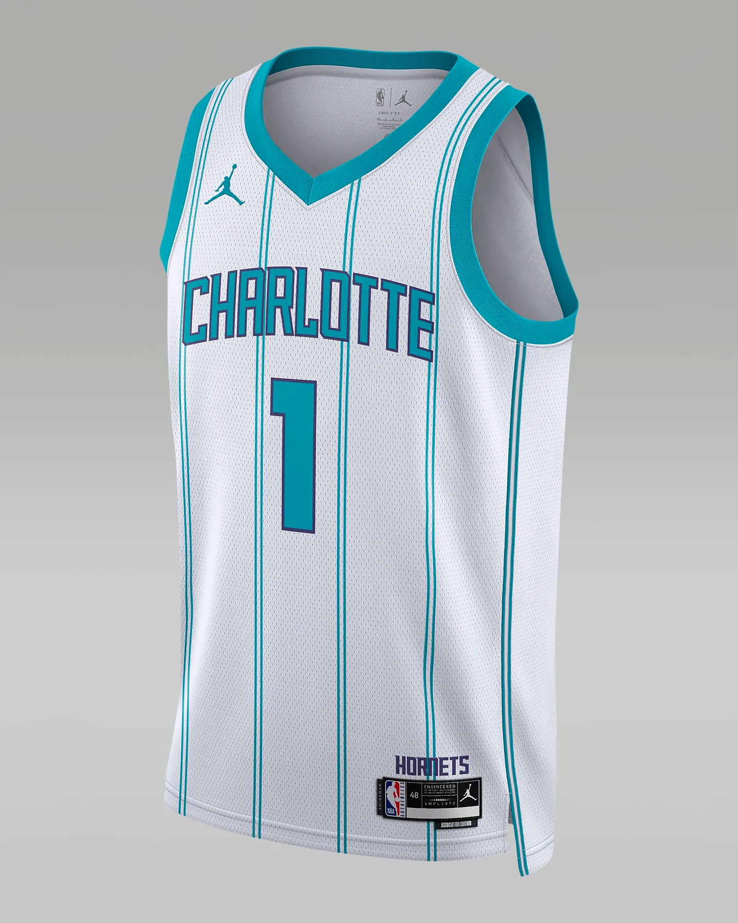 Charlotte Hornets Men's Jordan NBA Swingman Jersey