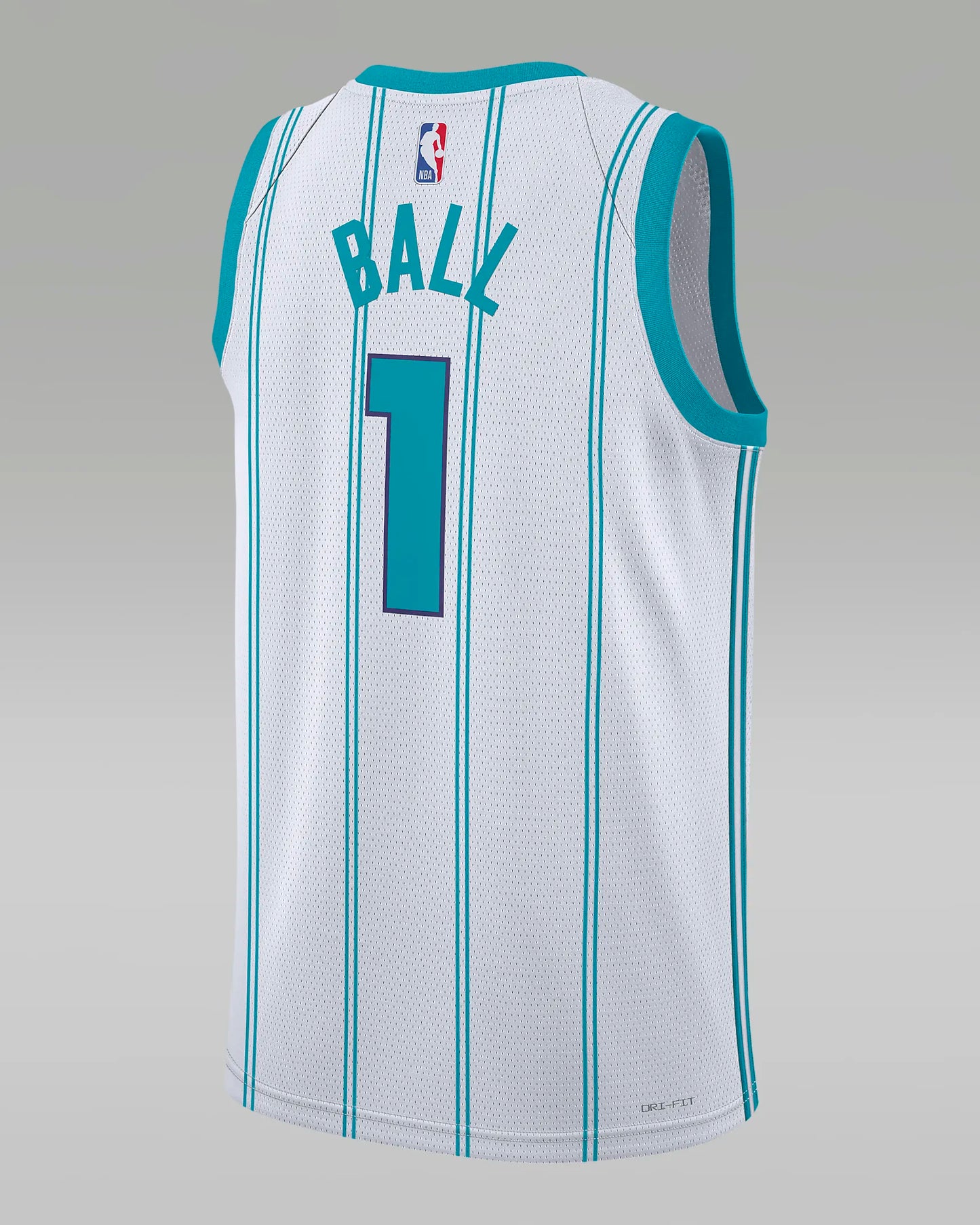 Charlotte Hornets Men's Jordan NBA Swingman Jersey