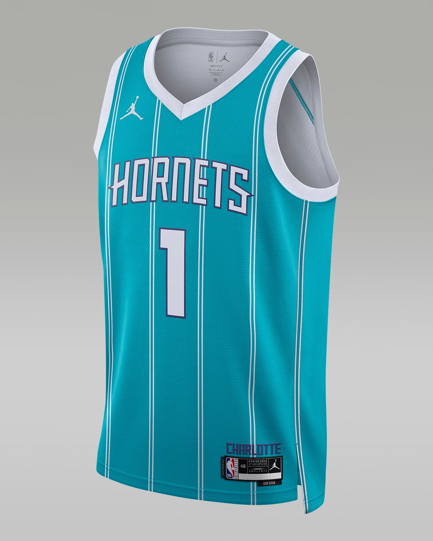 Charlotte Hornets Men's Jordan NBA Swingman Jersey