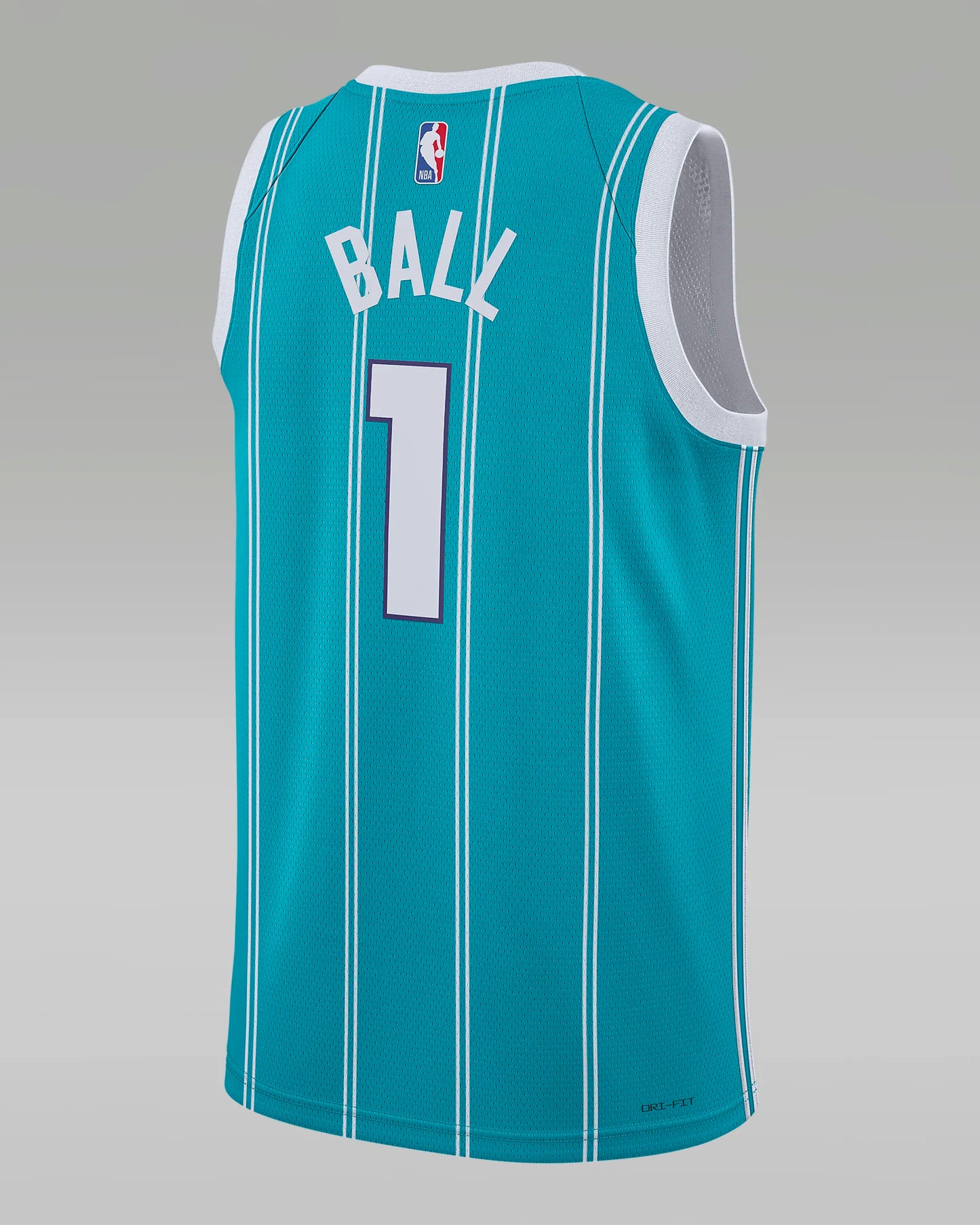 Charlotte Hornets Men's Jordan NBA Swingman Jersey