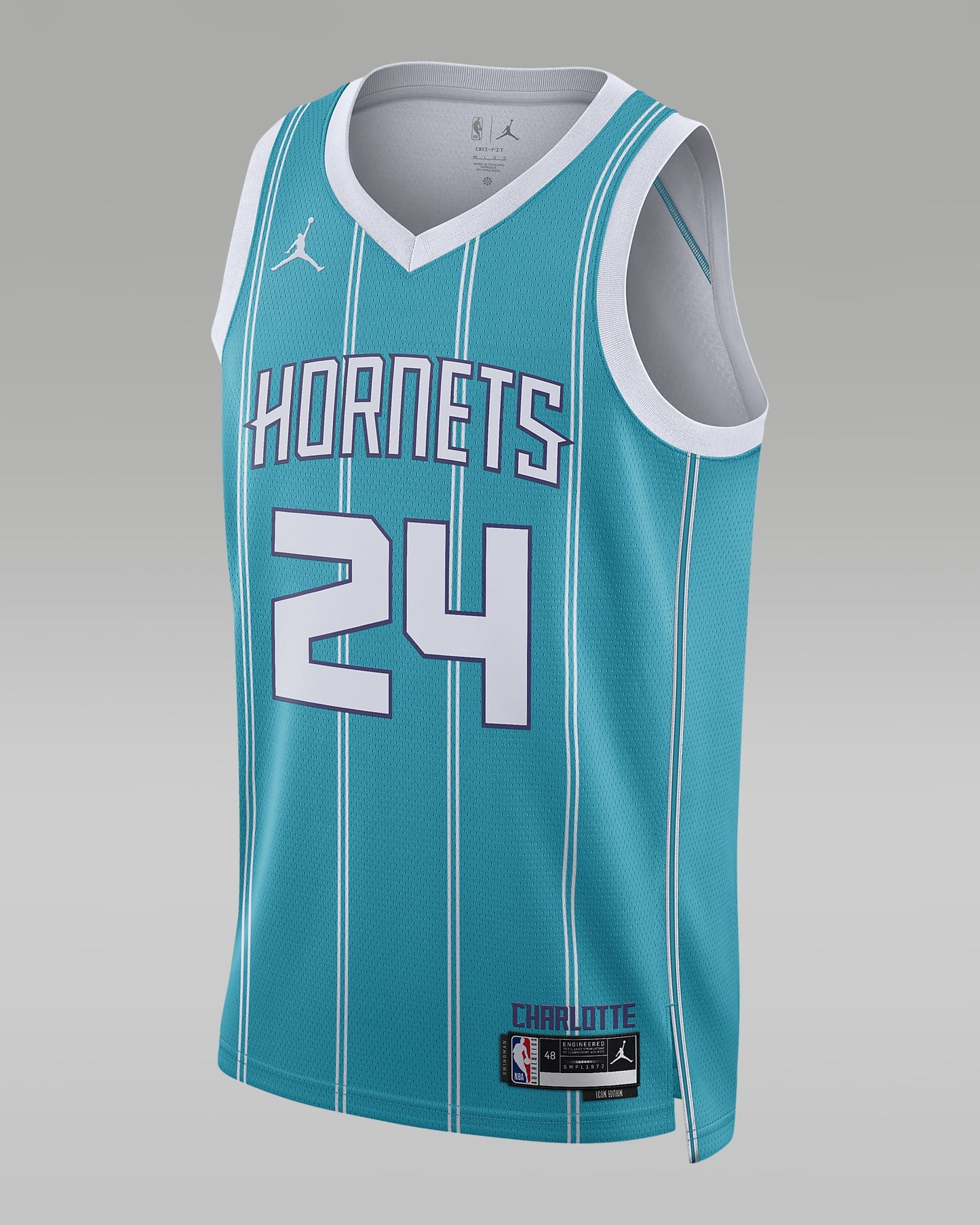 Charlotte Hornets Men's Jordan NBA Swingman Jersey