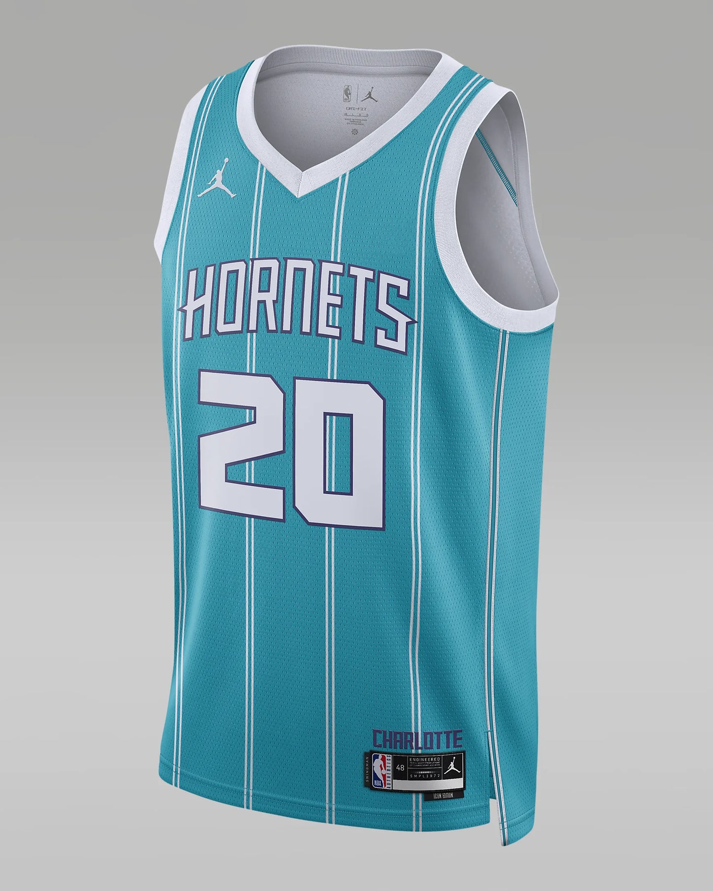 Charlotte Hornets Men's Jordan NBA Swingman Jersey