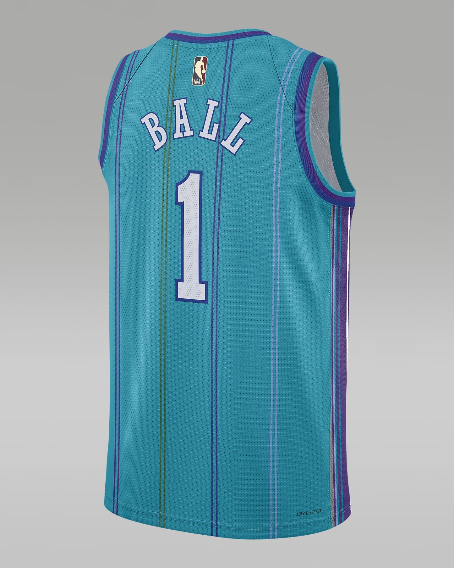 Charlotte Hornets Men's Jordan NBA Swingman Jersey