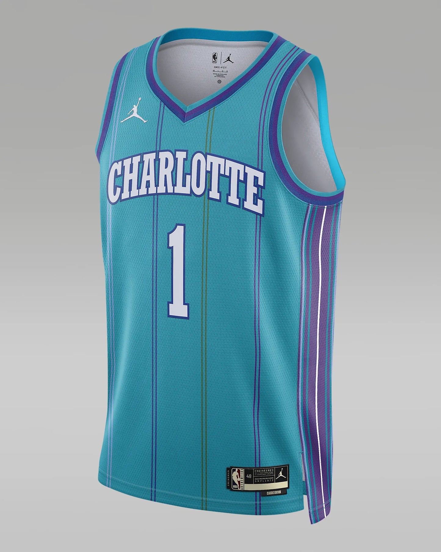 Charlotte Hornets Men's Jordan NBA Swingman Jersey