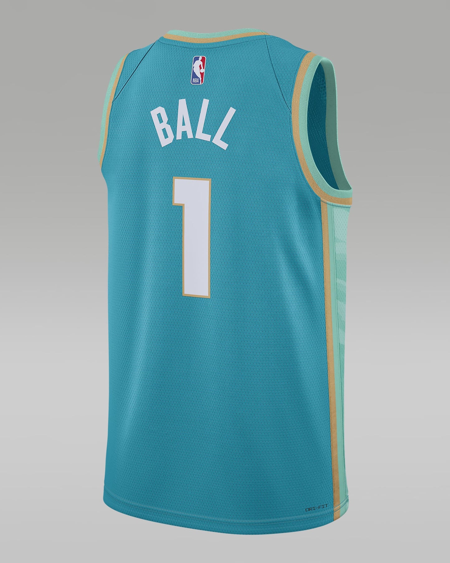 Charlotte Hornets Men's Jordan NBA Swingman Jersey