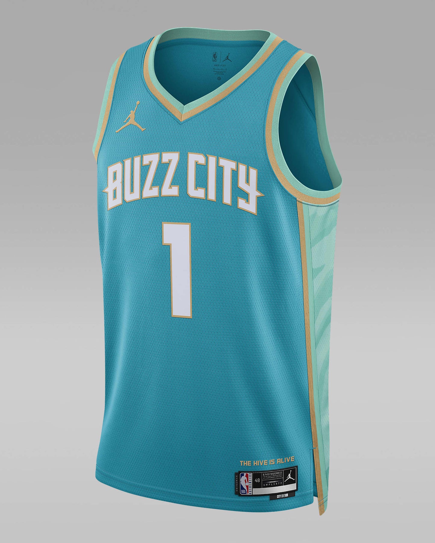 Charlotte Hornets Men's Jordan NBA Swingman Jersey