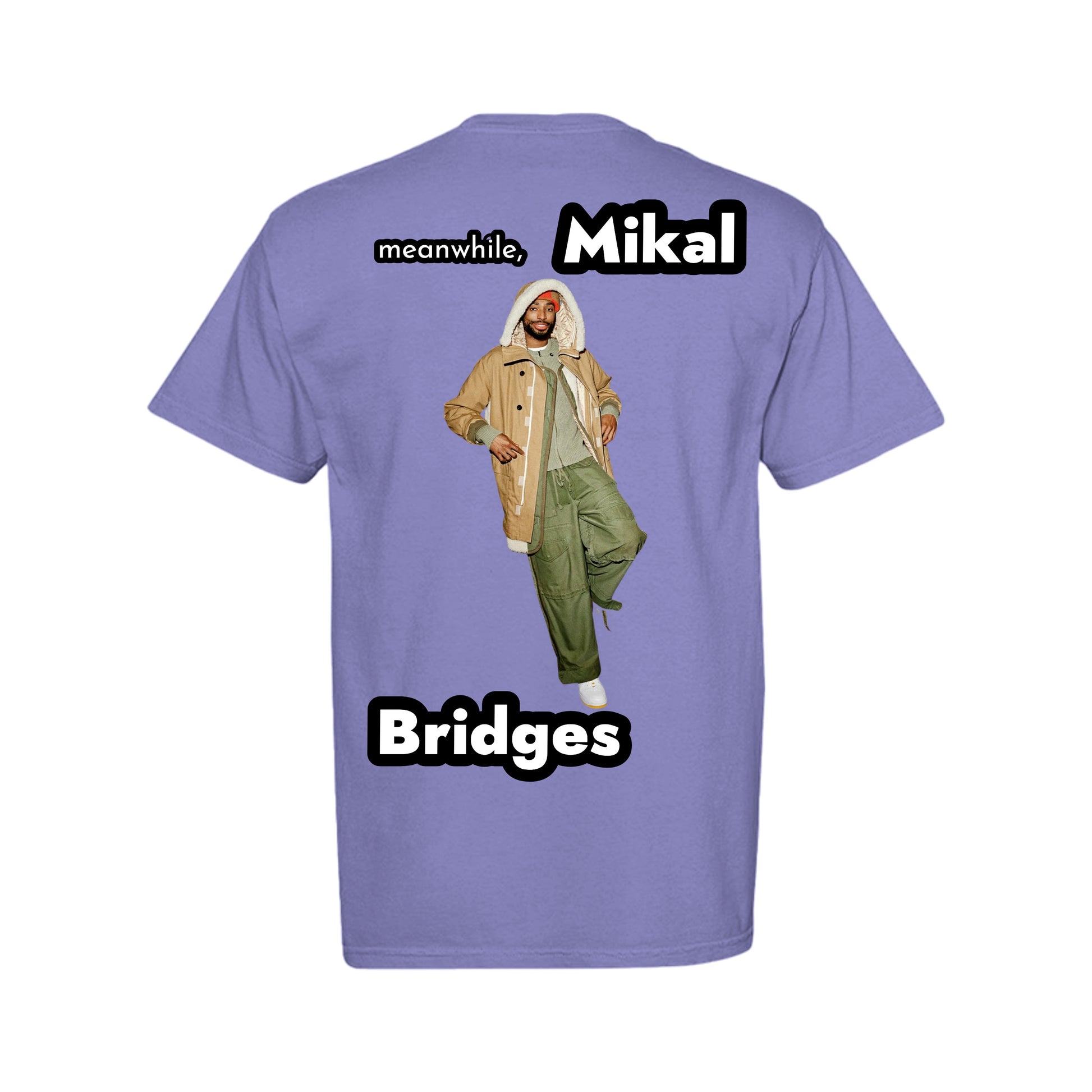 ndm:1335317